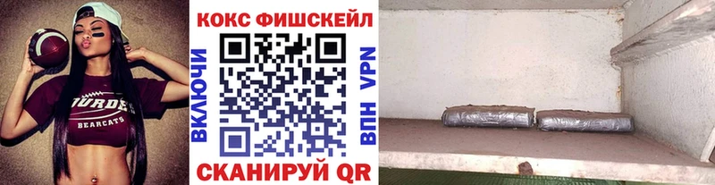 цена наркотик  Темников  Кокаин FishScale 