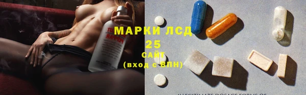 индика Алзамай